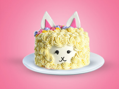 Cake Buzz photo 5