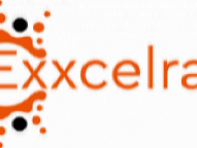 Exxcelrank photo 1