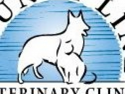 County Line Veterinary Clinic photo 1
