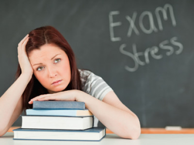 The In-Home Tutor photo 3