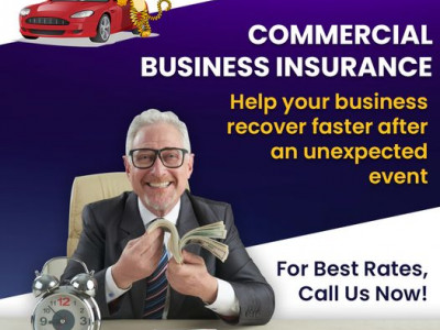 Insurance Tiger photo 3