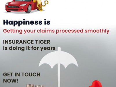 Insurance Tiger photo 4
