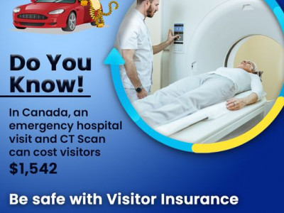 Insurance Tiger photo 5