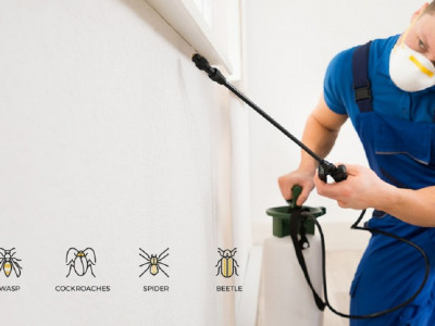 Ecosafe Pest Control photo 1