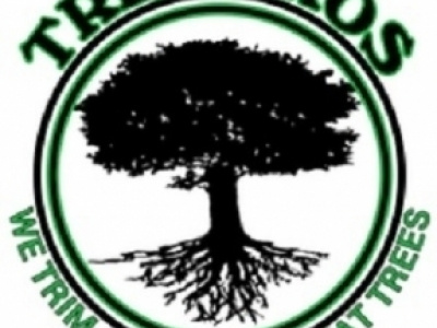 Pensacola Tree Service LLC photo 1