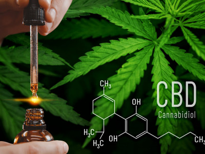 Medical Cannabis Oil: A Natural Solution for Chronic Illness photo 2