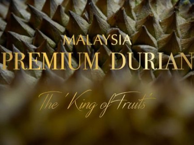 R&R Durian photo 1