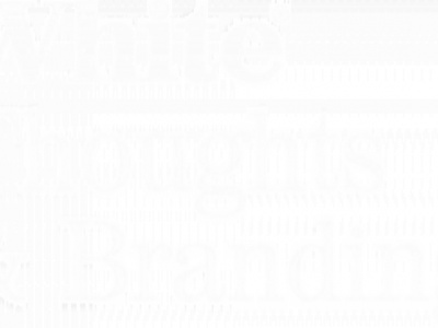 White Thoughts and Branding photo 1