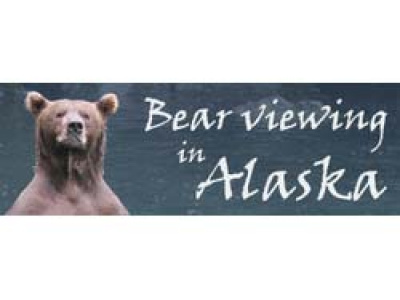 Bear Viewing in Alaska photo 5