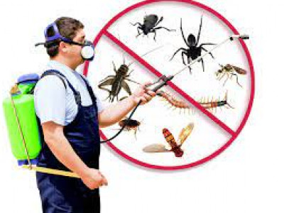 Tom’s Pest Control Perth photo 1