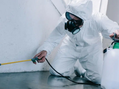 Orbit Pest Control photo 1