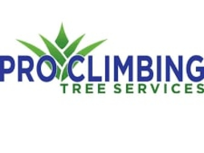 Pro Climbing Tree Services photo 2
