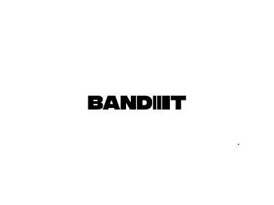Bandit Bikes photo 1