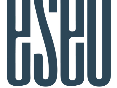 Optimize, Rank, Sell: eSEO Agency's Tailored WooCommerce Solutions photo 1