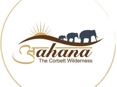 Luxury Resort in Corbett photo 3