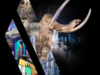 High-impact, Large-Format Display Graphics | Leach photo 2