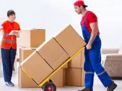 best movers adelaide photo 2