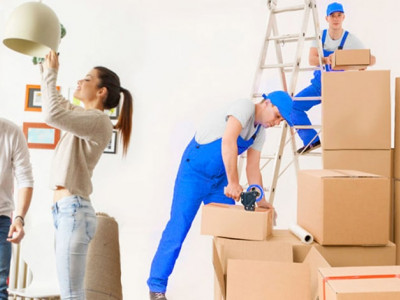 best movers adelaide photo 6