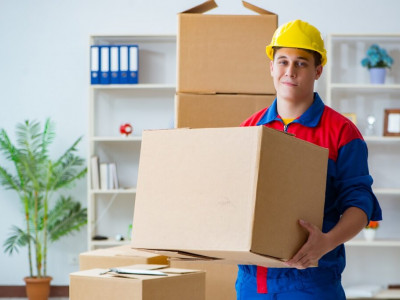 best movers adelaide photo 8