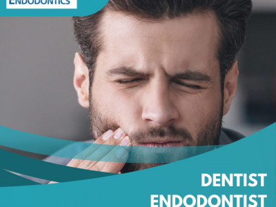 St. Petersburg Endodontics photo 1