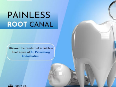 St. Petersburg Endodontics photo 3