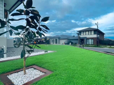 Auzzie Turf photo 1
