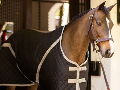 Ride Every Stride photo 1