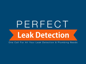 Perfect Leak Detection