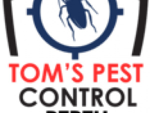  Pest Control Perth | Tom’s Pest Control Perth