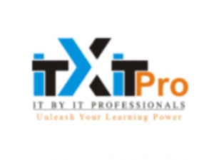 IT By IT Professionals logo