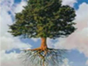 Kalptaru Herbal Therapy Centre logo