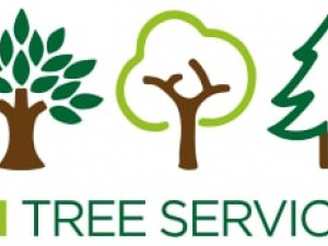 Professional Tree care surgeons in Roundhay, Alwoodley and Leeds
