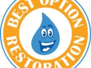 BOR OF NORTH ATLANTA logo