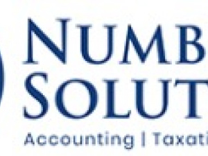 Number Solutions logo
