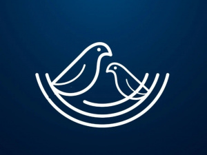 Nest Software Private Ltd