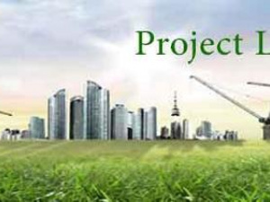 Real Estate Business/Financial services Available