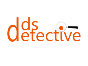 DDS Management Solutions Pvt. Ltd. | Detective Agency Delhi logo