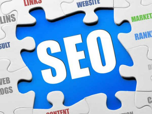 SEO Warriors