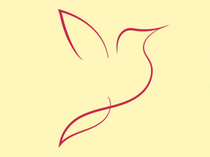 Parwaz