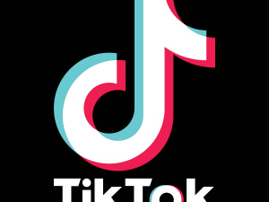 Download Tik Tok Video Without Watermark online