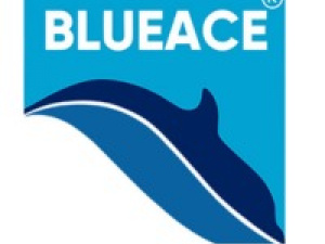 Blueace India Limited