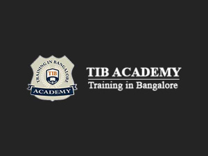 TIB ACADEMY - Selenium certification training course in Bangalore logo