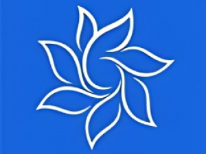 Colorado Dental Wellness Center