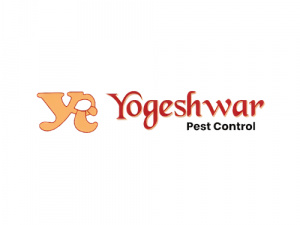 Yogeshwar Pest Control | Termite Treatment & Service Ahmedabad