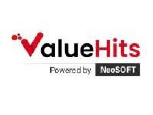 ValueHits - Best Digital marketing Agency