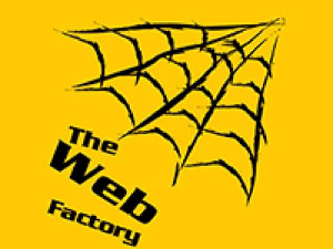The Web Factory | Web Design | Web Development | SEO | SMM | Digital Marketing