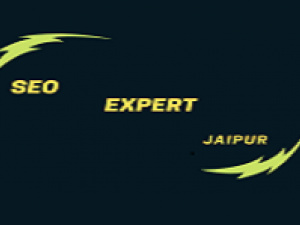 Seo Expert In Jaipur logo