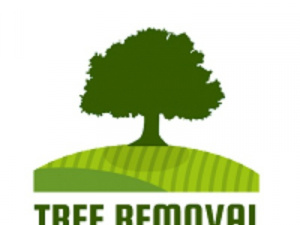 Tree Removal Austin