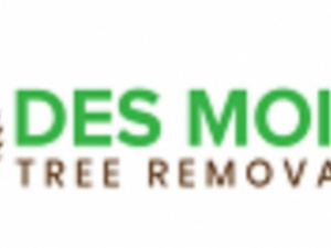 Des Moines Tree Removal