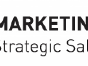 QLB MARKETING INSIGHTS logo